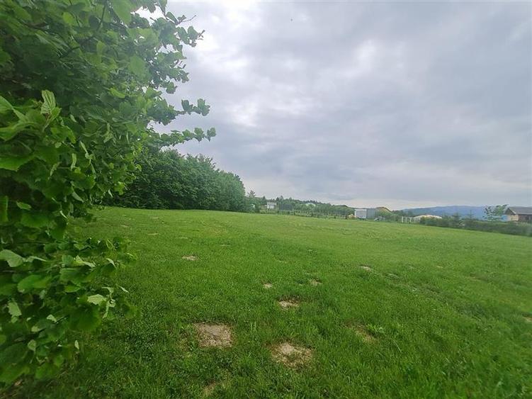 Teren Construcții intravilan de 23000 mp, în Glăjărie