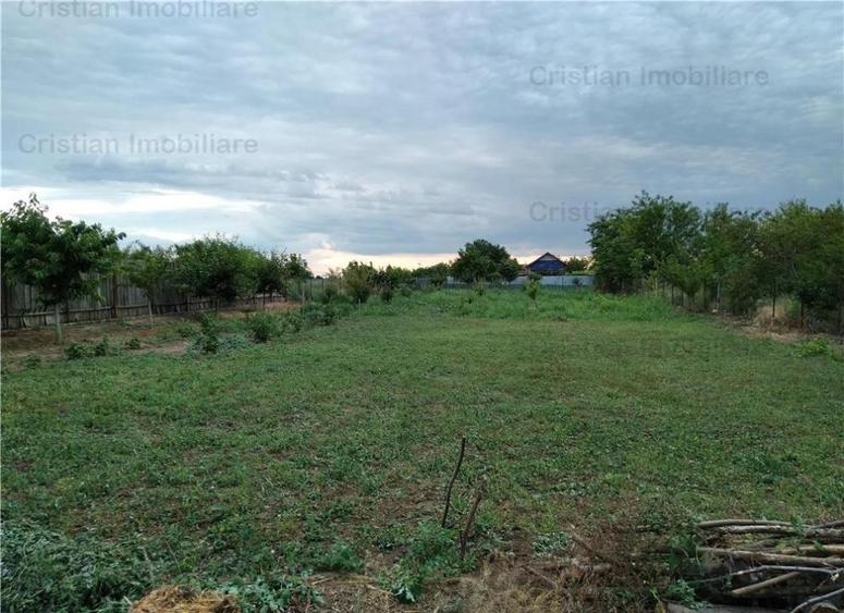 Teren 1750 mp, zona Cazasu - 4