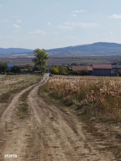 Teren de construit in zona rurala, acces asfaltat