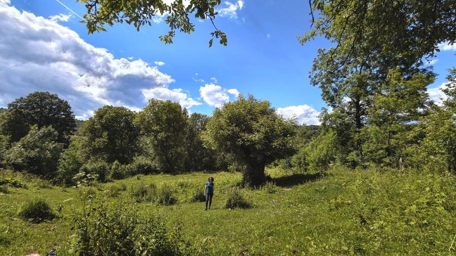 Teren Construcții intravilan de 1782 mp, în Măgura (Bezdead)