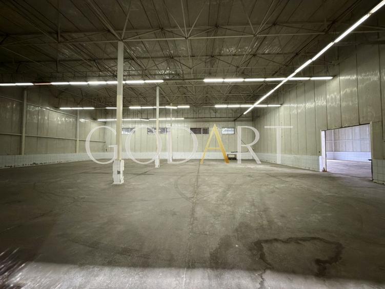 Spațiu industrial, de 4,000 mp, în Central