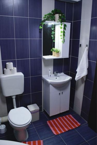 Apartament cu 2 camere semidecomandat în Roșu