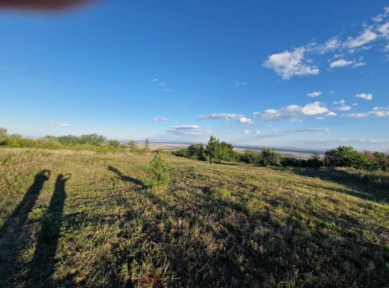 Teren de 7593 mp, în Pietroasele