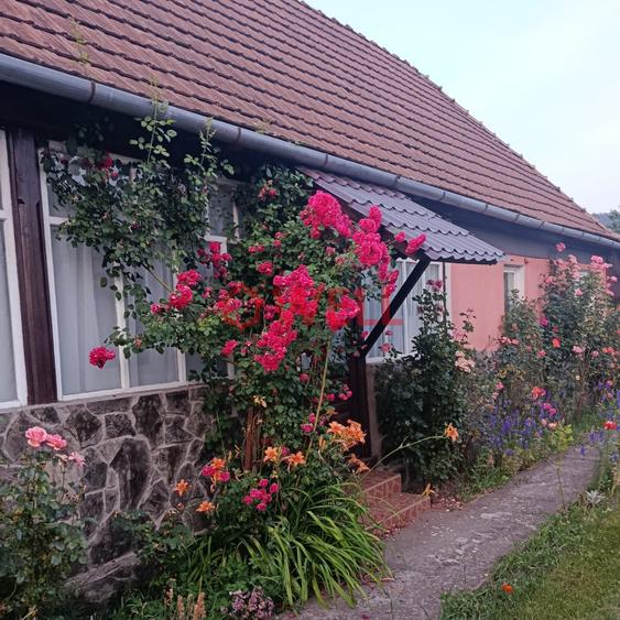 Casă individuală cu 2 camere cu Teren 1254 Mp în Sovata