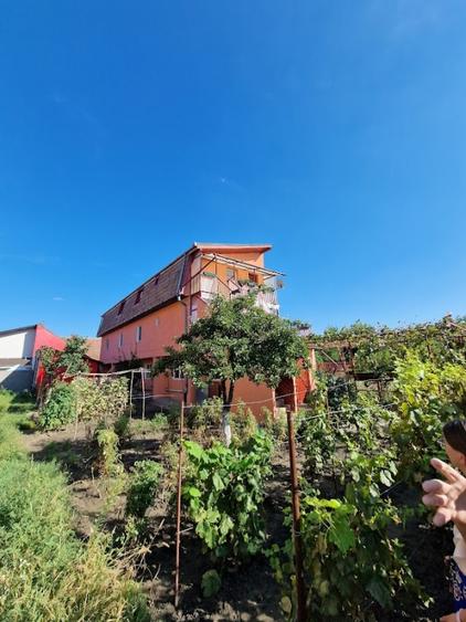 Casă individuală cu 8 camere cu Canalizare în Fratelia