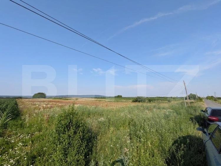 Teren Construcții intravilan de 3000 mp, în Comișani