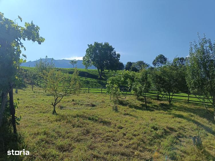 Teren de 3980 mp, în Bran