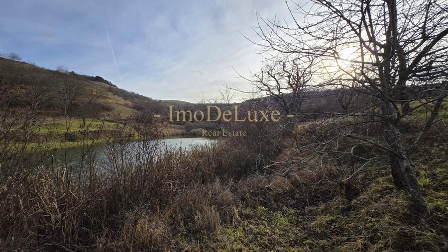 Teren agricol extravilan de 8500 mp, în Baciu