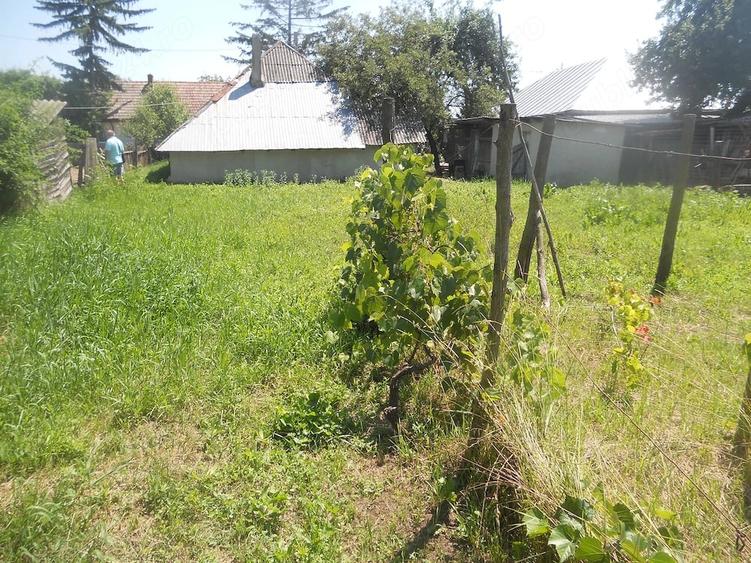 Casa la 25 km de Piatra Neamt spre Bacau - 8