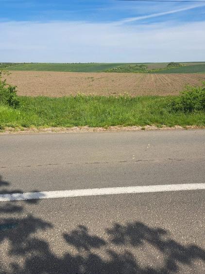 Teren de 20000 mp, în Bencecu de Sus