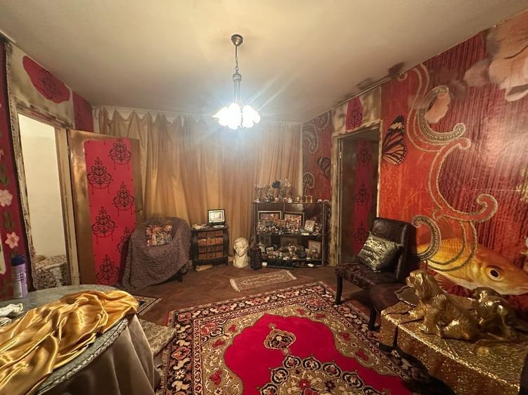 VIGAFON - Apartament 2 camere Nord-Cameliei - 5