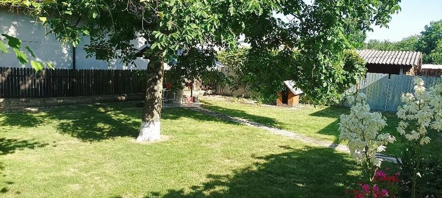 Casă cu Teren 1300 Mp în Cocorăștii Colț