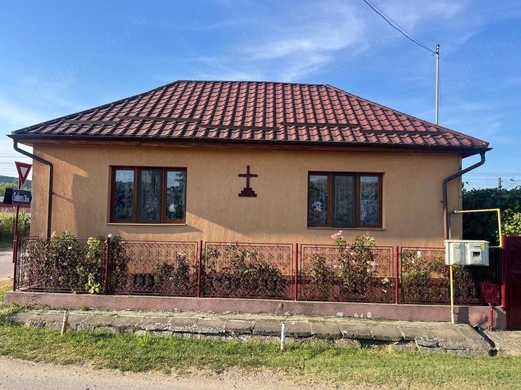 Casă cu 3 camere cu Teren 500000 Mp în Daneș