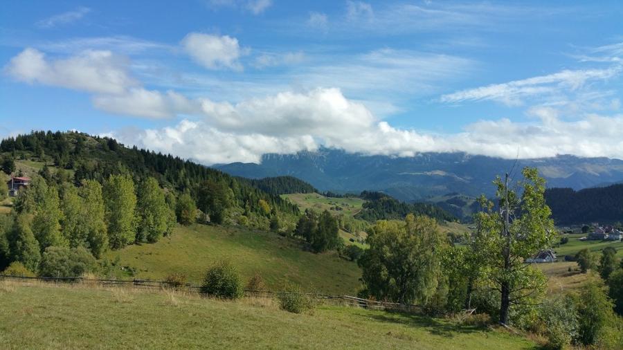 Teren agricol extravilan de 17537 mp, în Fundata