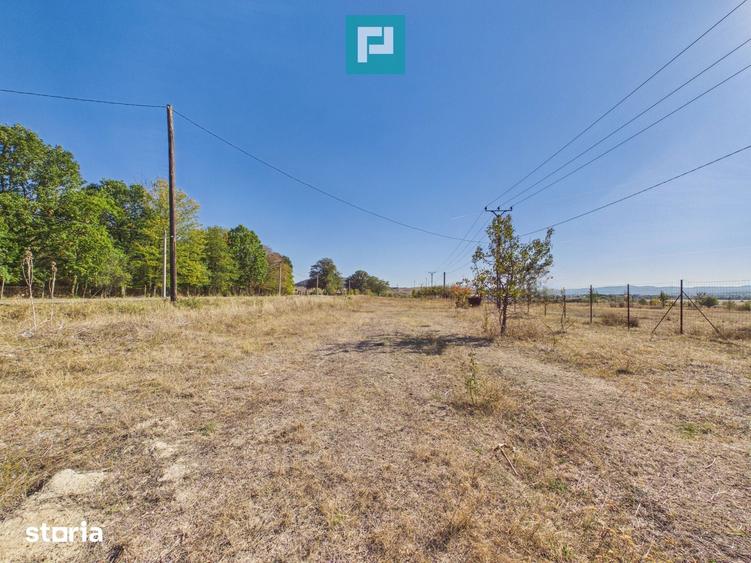 Teren de 5000 mp, în Central