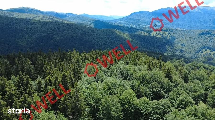 Teren de 23000 mp, în Vama Buzăului