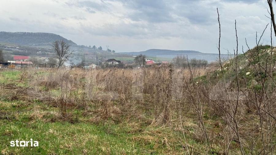 Teren de 9292 mp, în Cuzdrioara