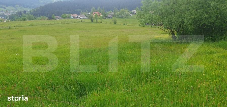 Spațiu comercial, în Argestru