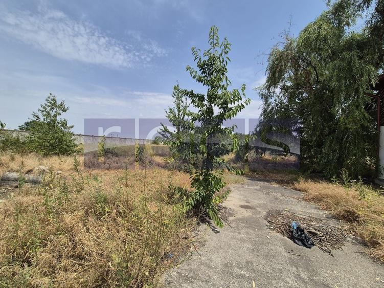 Teren Construcții intravilan de 35510 mp, în Belciugatele