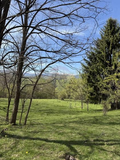 Teren de 15459 mp, în Bughea de Sus