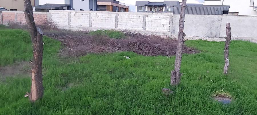 Teren Construcții intravilan de 1000 mp, în Domnești