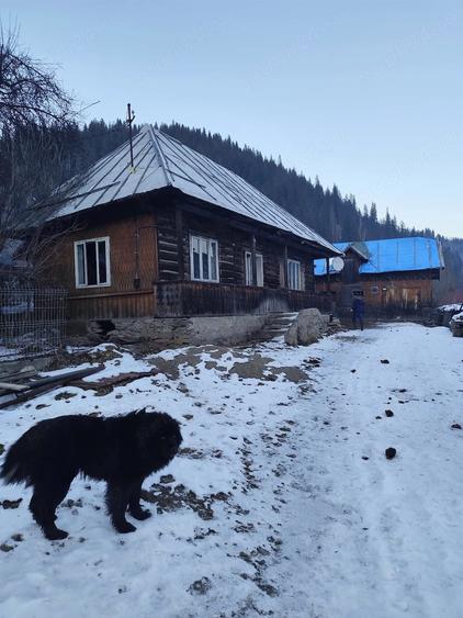 Casă cu Teren 800 Mp în Fundu Moldovei