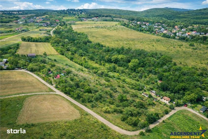 Teren de 4500 mp, în Ilieni
