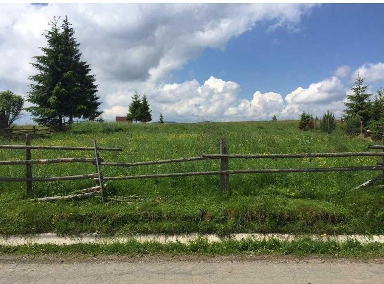 Teren de 1000 mp, în Bălcești (Beliș)
