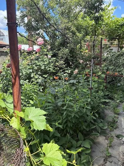 Casă cu 3 camere cu Teren 394 Mp în Pantelimon