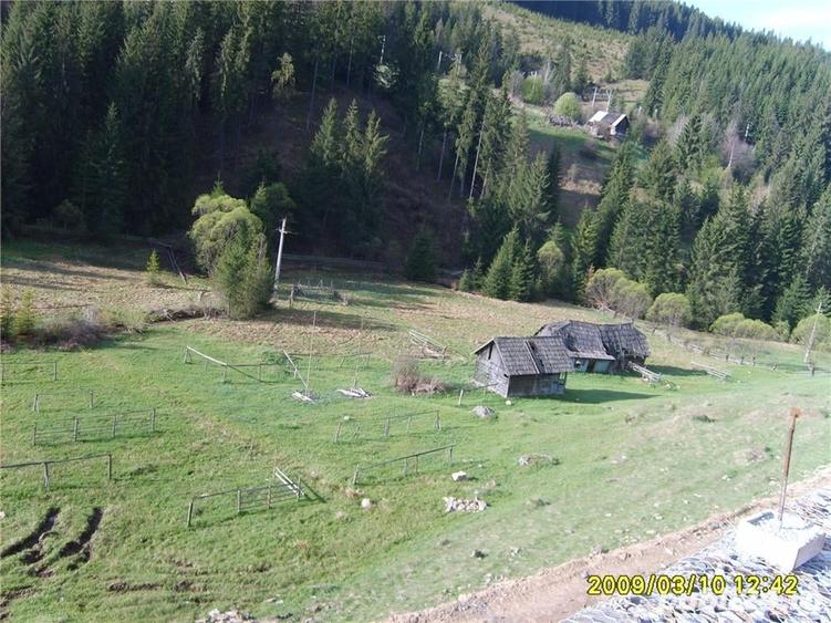 Teren de 7000 mp, în Iacobeni