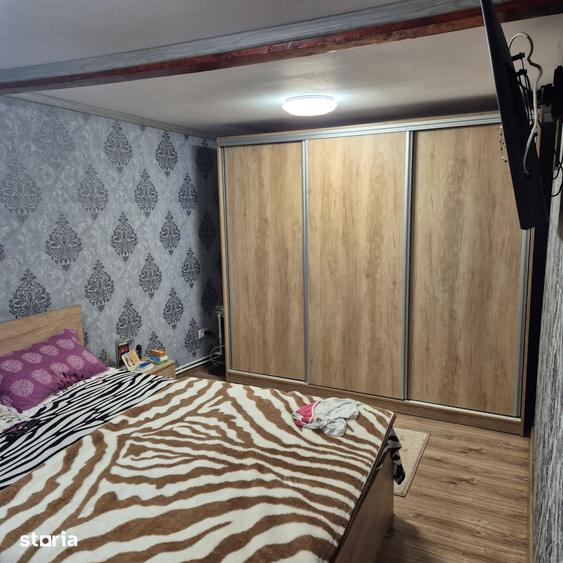 Casă cu 5 camere cu Teren 5000 Mp în Vidra