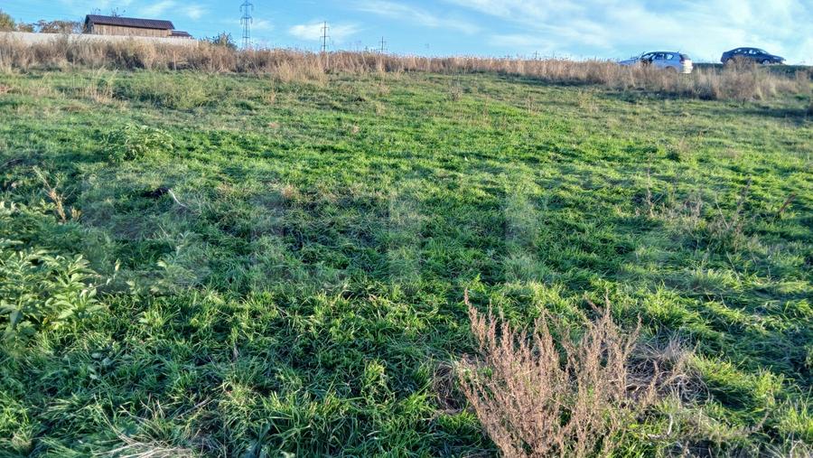 Teren Construcții intravilan de 500 mp, în Sud