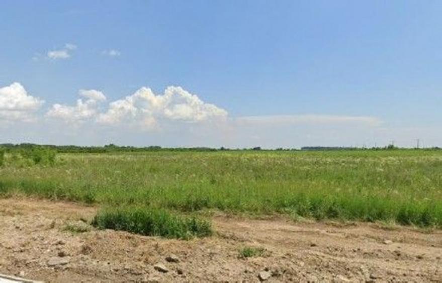 Teren de 5000 mp, în Costești