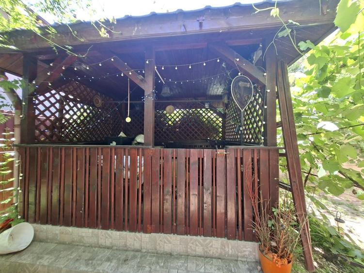 Casa de vinzare Chitila mogosoaia singur curte - 5