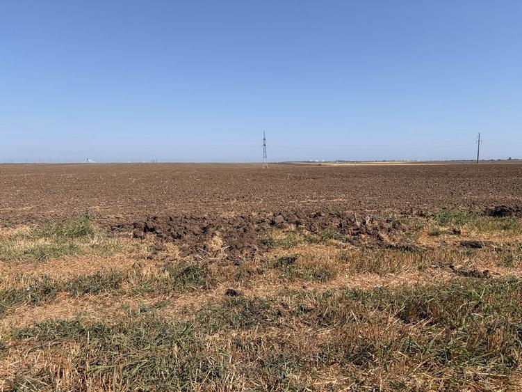 Teren de 15000 mp, în Agigea