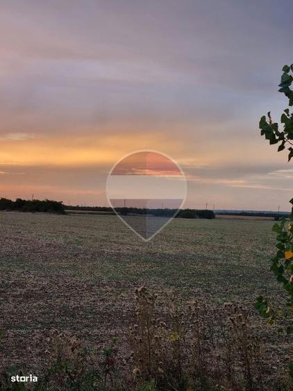 Teren 12,853mp Balteni / DN 1 - 3