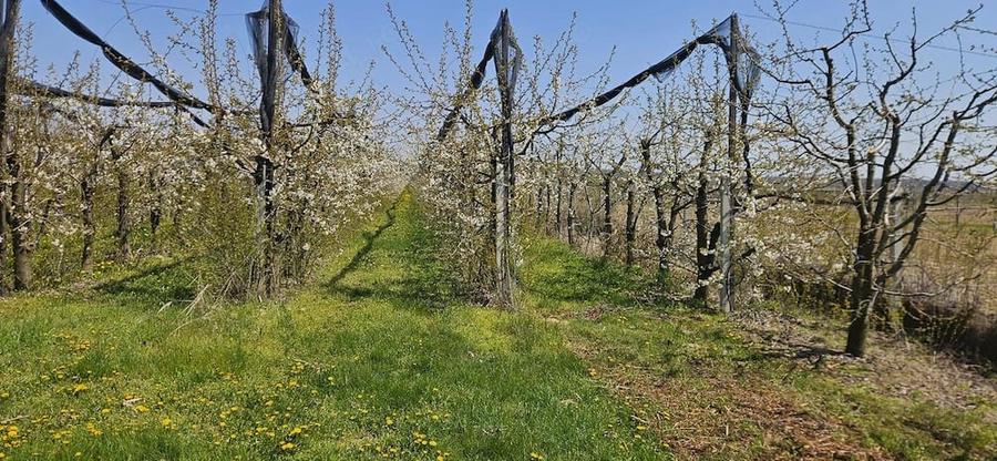 Teren de 11000 mp, în Drăgăești-Ungureni