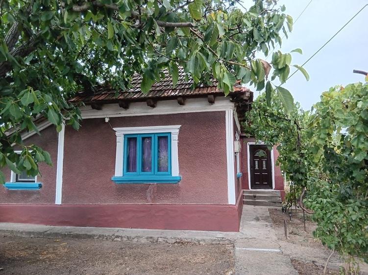 Casă cu 4 camere cu Teren 2041 Mp în Siminoc