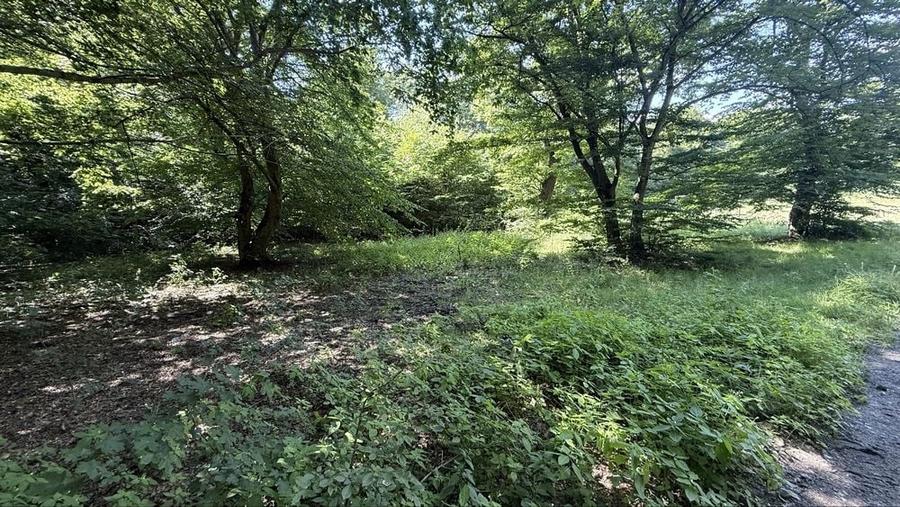 Teren de 500 mp, în Grigorescu