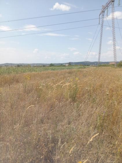 Teren in Osorhei - 3