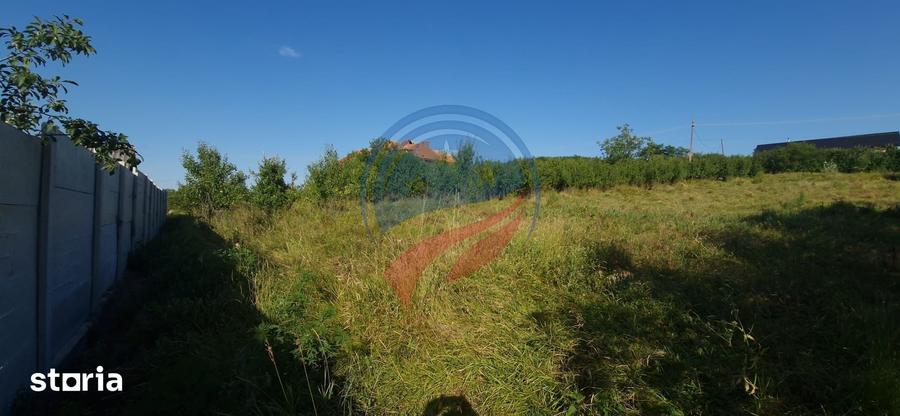 Teren 8 227 mp + Casa demolabila de vanzare in Filiasi - Fratostita - 7