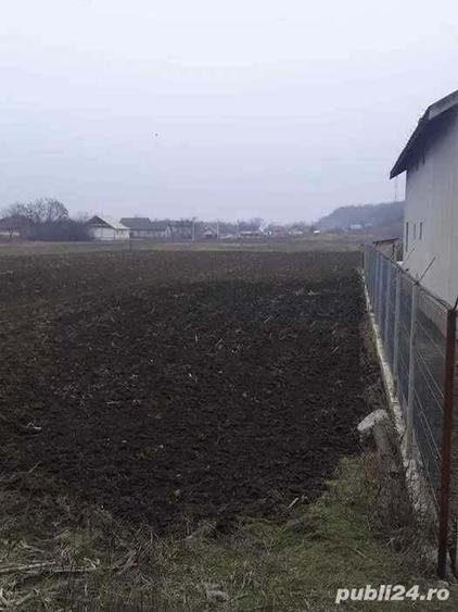 Teren de 2000 mp, în Central