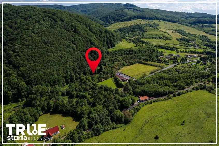 Spațiu comercial, în Câmpu Cetății