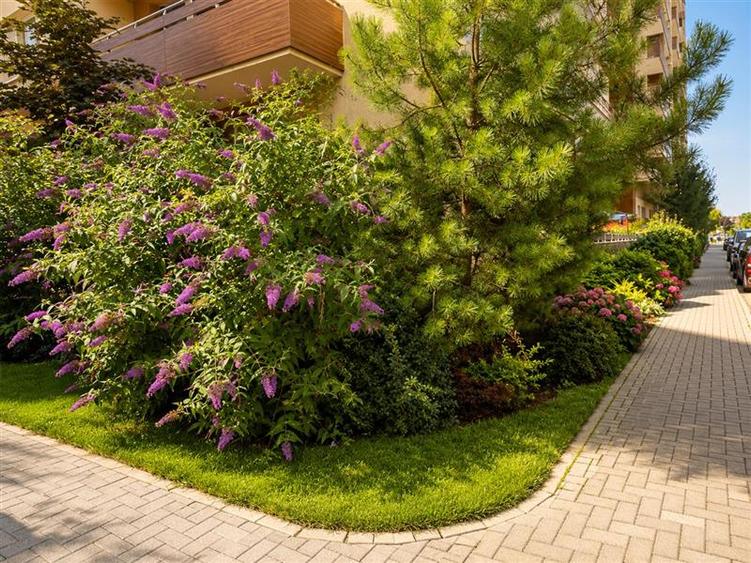 Apartament cu 2 camere decomandat în Tractorul