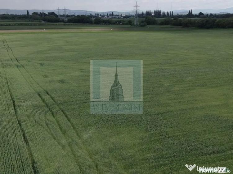 Teren de 50000 mp, în Hălchiu