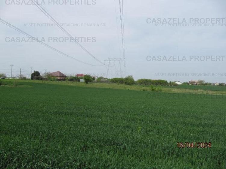 Teren agricol extravilan de 2000 mp, în Frumușani