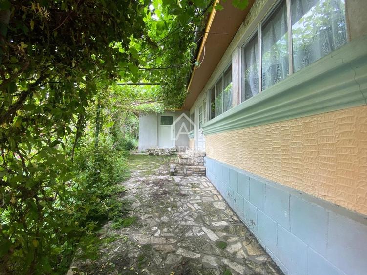 Teren Construcții intravilan de 15900 mp, în Fințești