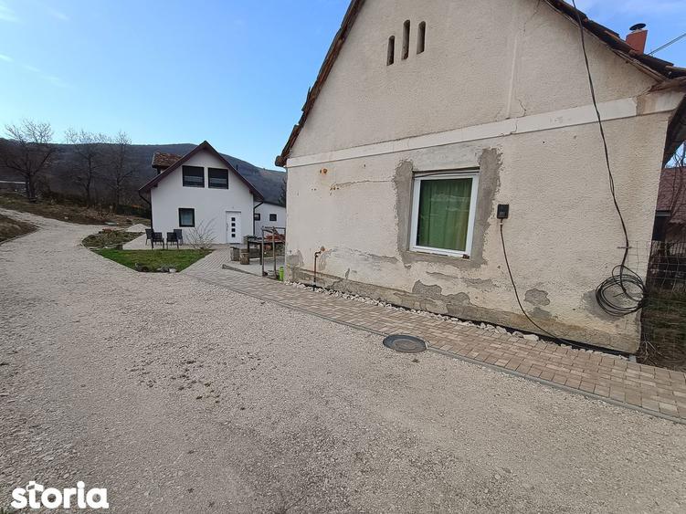 2 case pe curte / posibila investitie - 9