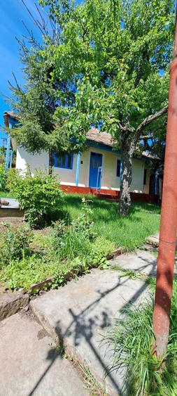 Casă cu 3 camere în Moșna