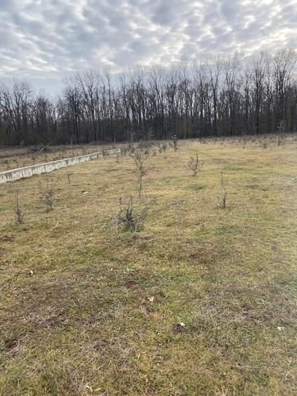 Teren agricol intravilan de 1900 mp, în Est